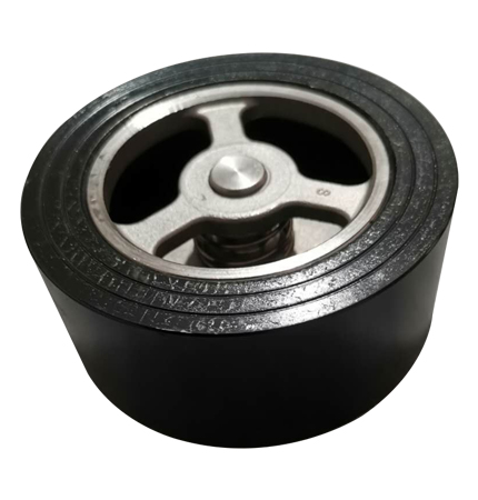 Clamp on check valve H71